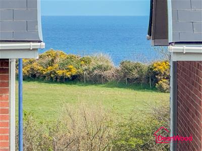 Picture 24